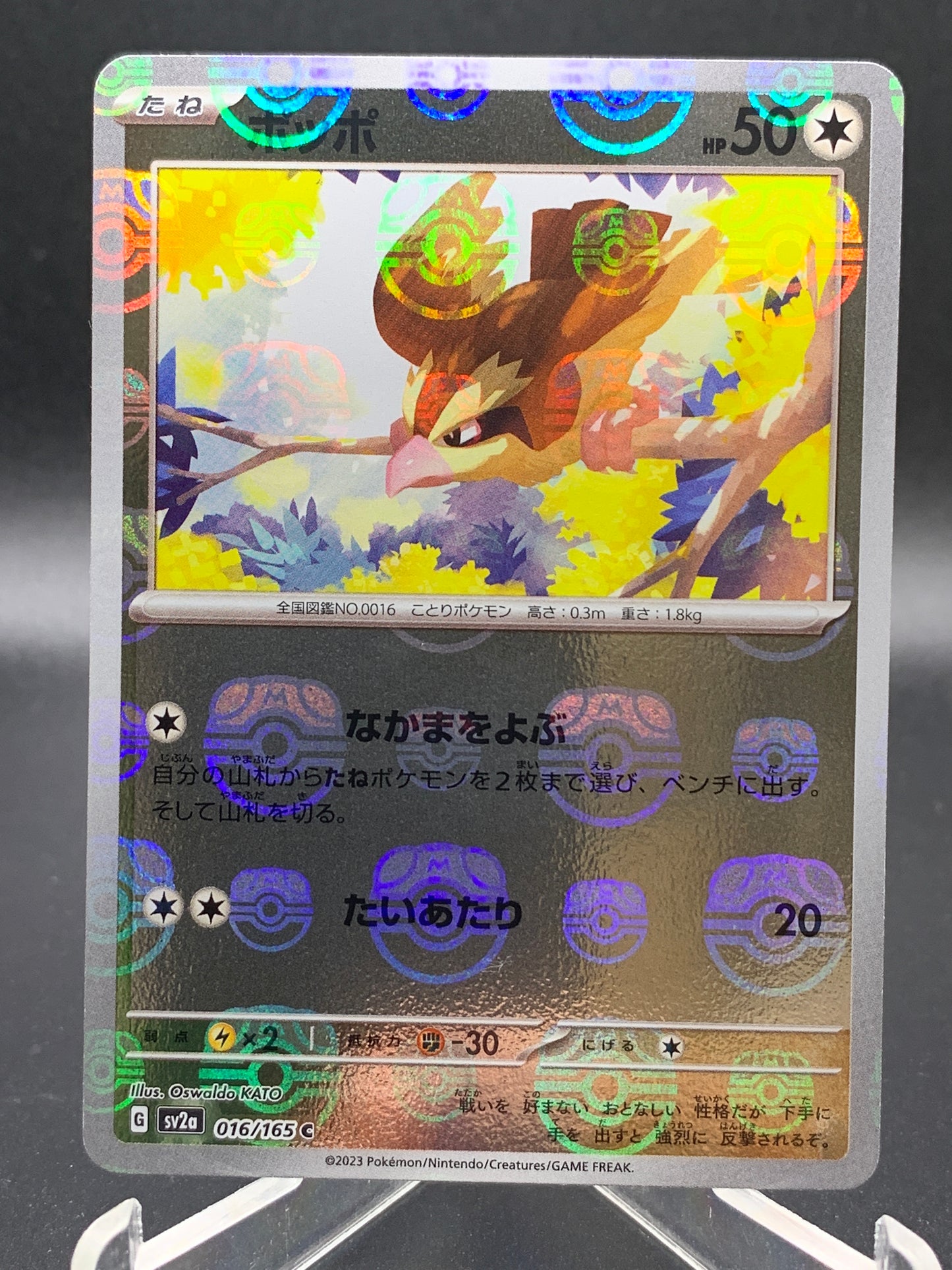 Pokemon TCG: 2023 Japanese Pidgey 016/165 - Master Ball - Scarle & Violet 151