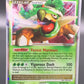 Pokémon TCG: 2007 Torterra LV.X - DP09  -  Diamond and Pearl Promos