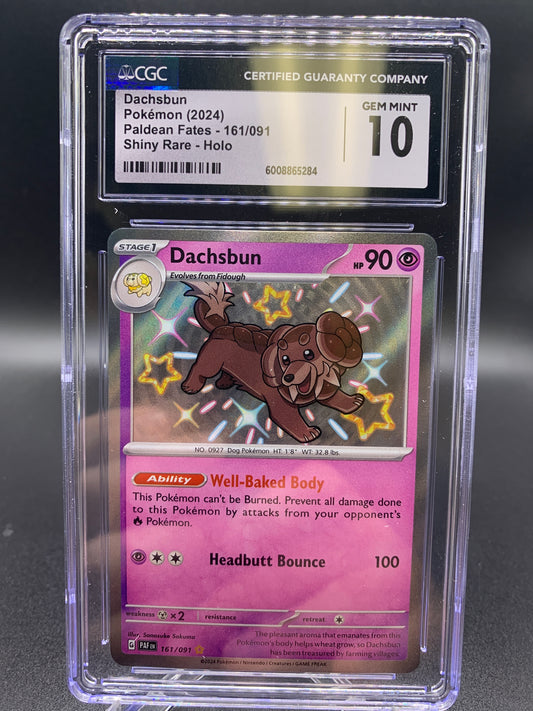 CGC 10 2024 Dachsbun 161/091 S&V Paldean Fates